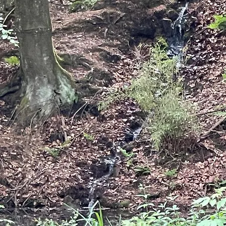 Sea Office - Modernes Mit Tollem Seeblick Semesterbostad