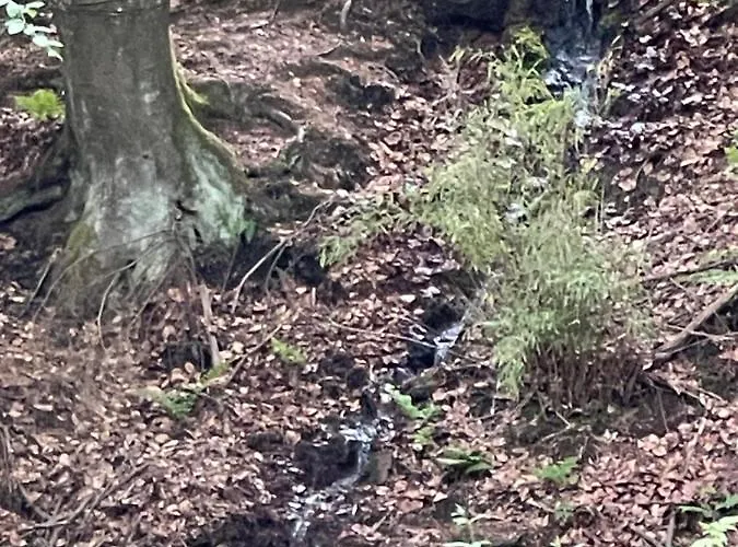 Sea Office - Modernes Mit Tollem Seeblick Dom wakacyjny